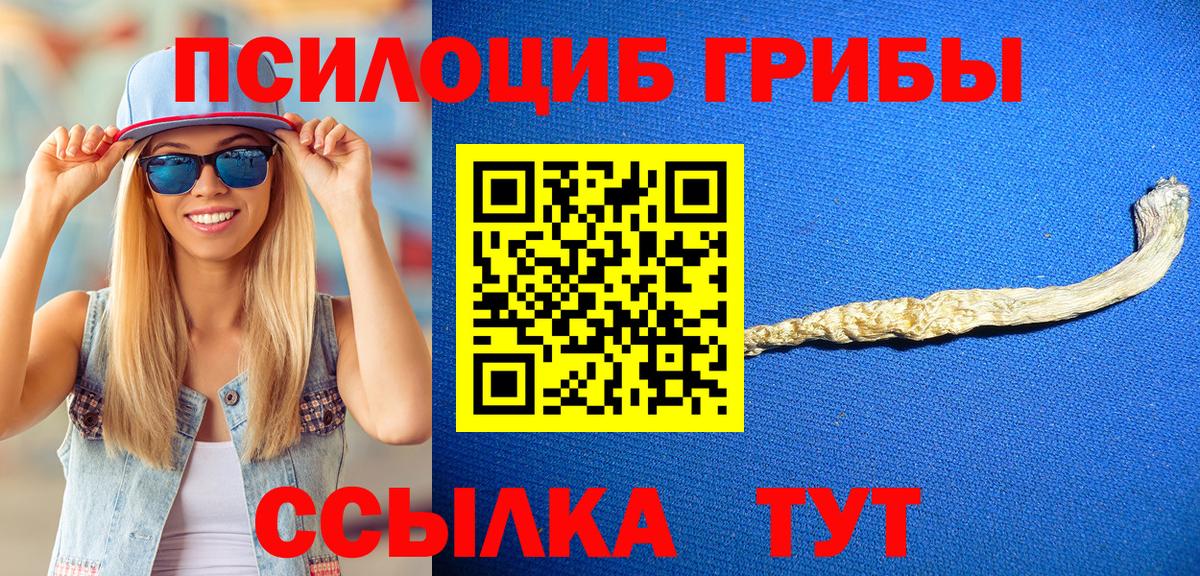 Галлюциногенные грибы Cubensis  Вход с VPN  Псилоцибиновые грибы мицелий  Новоалександровск 